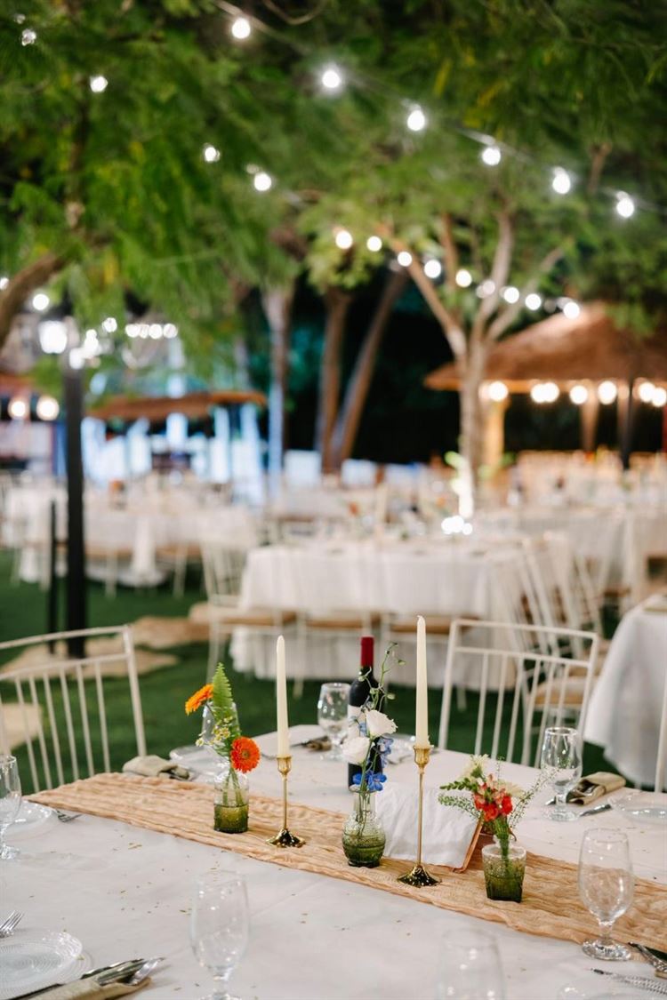 צילום: אהרון גדליה