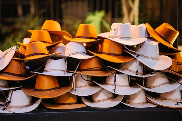 צילום: אהרון גדליה