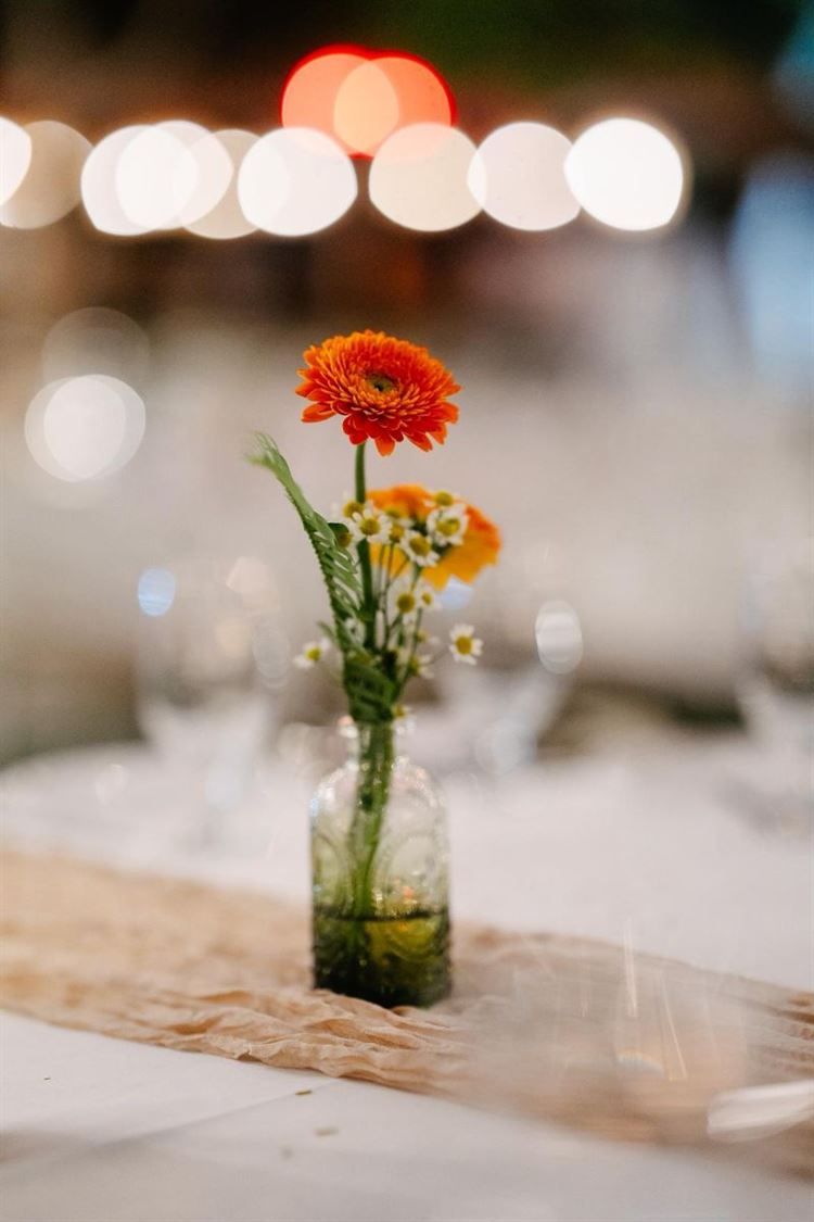 צילום: אהרון גדליה