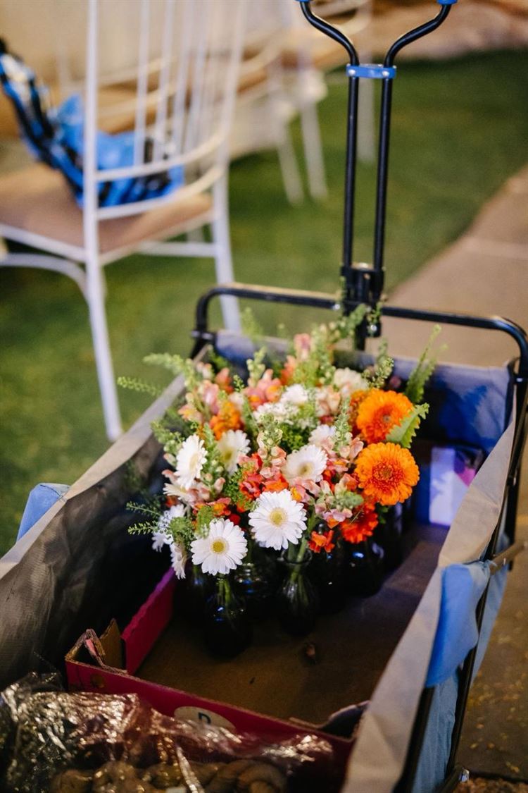 צילום: אהרון גדליה