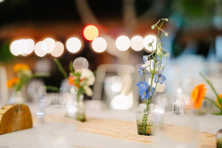 צילום: אהרון גדליה