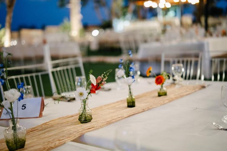 צילום: אהרון גדליה