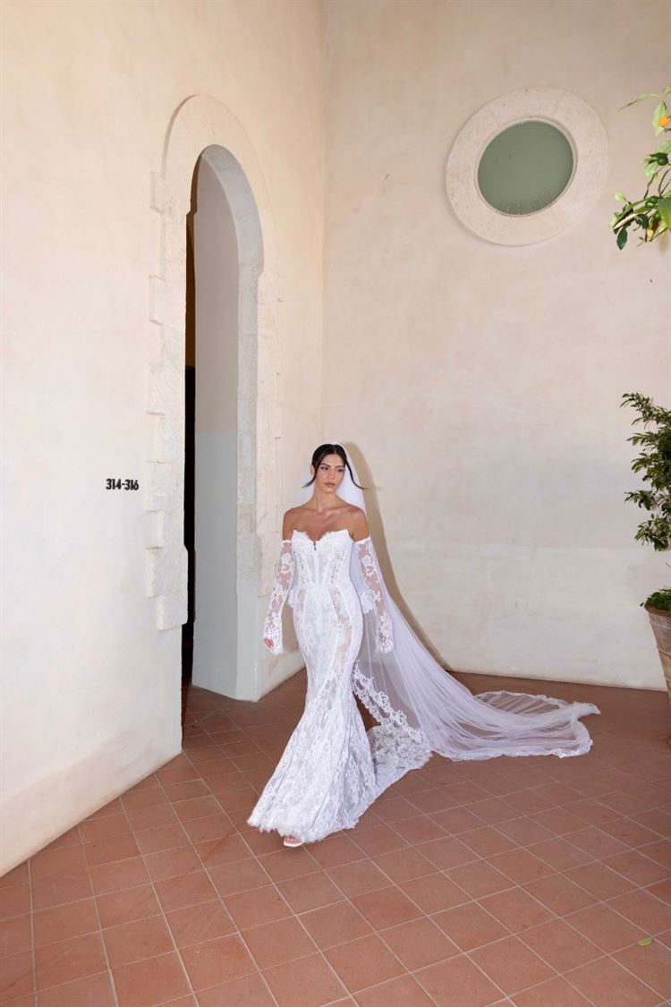 צילום: טל חמדי