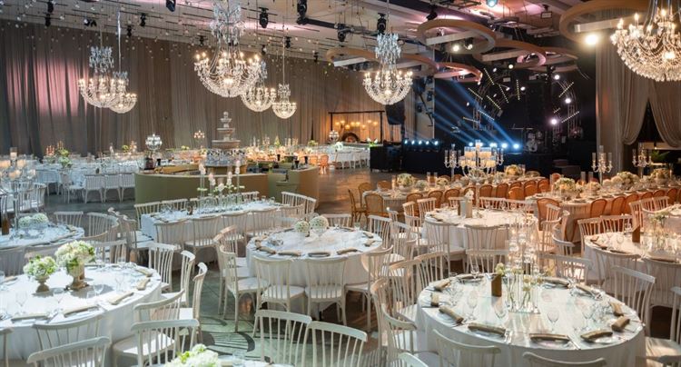 צילום: שי גואטה