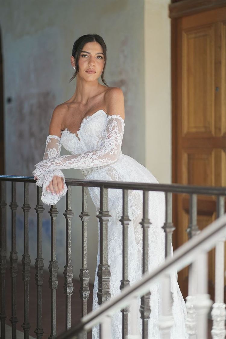 צילום: שי גואטה