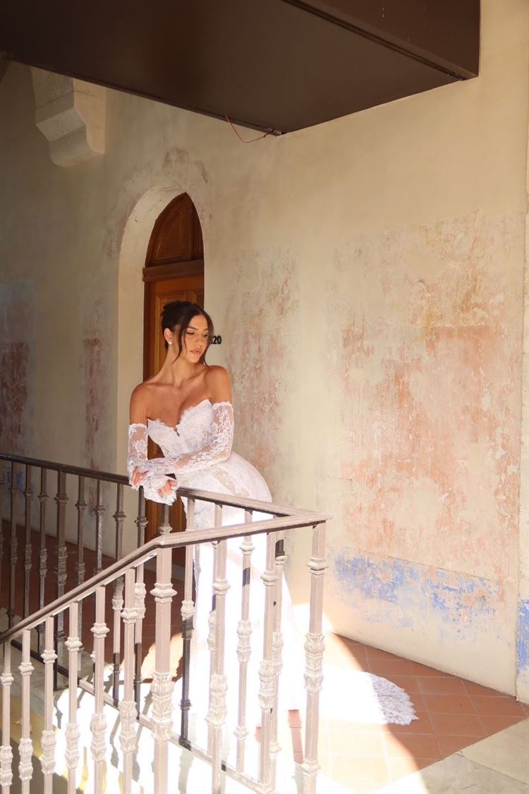 צילום: שי גואטה