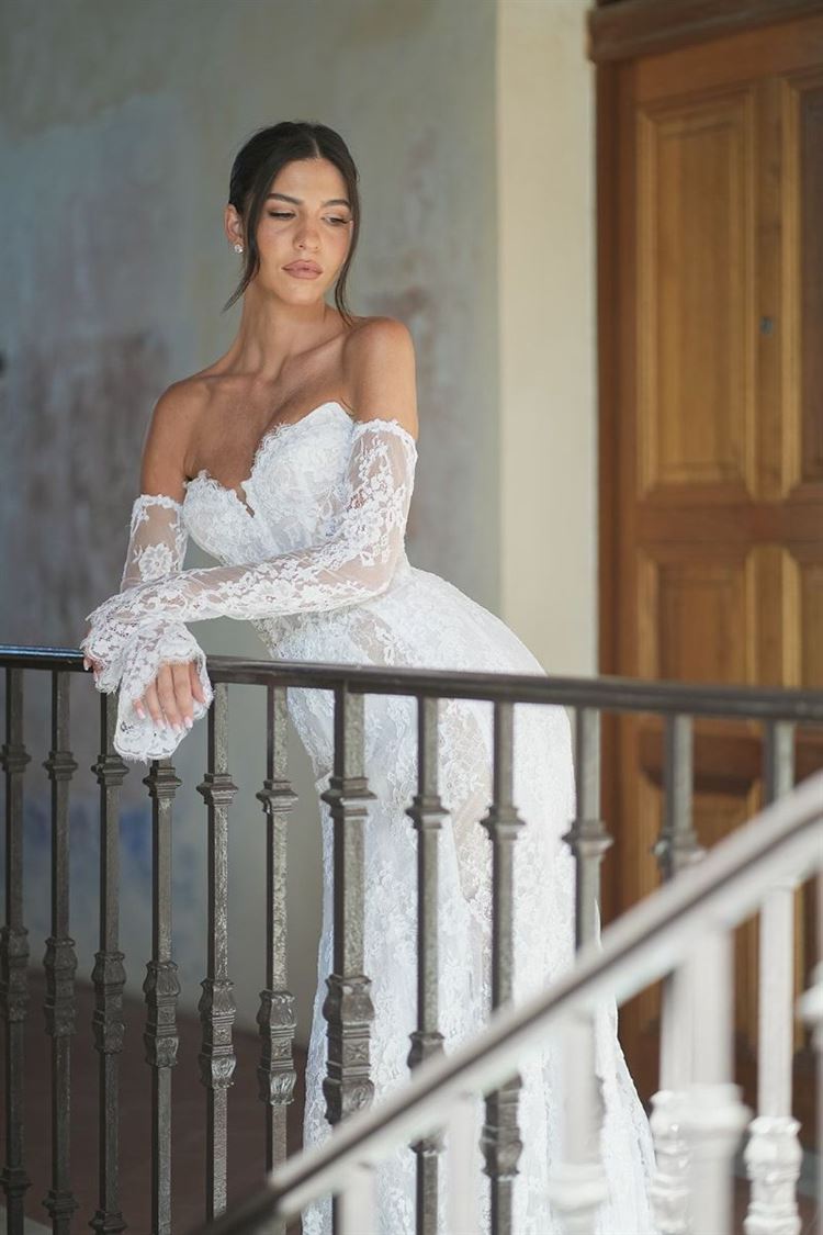 צילום: שי גואטה