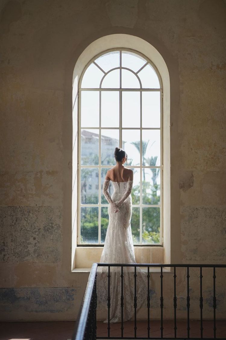 צילום: שי גואטה