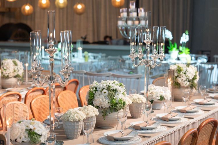 צילום: שי גואטה