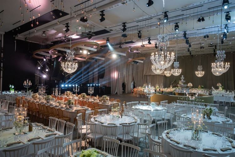 צילום: שי גואטה