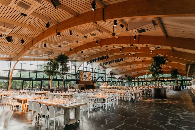 צילום: ניב בריג