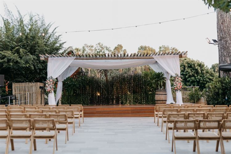 צילום: ניב בריג