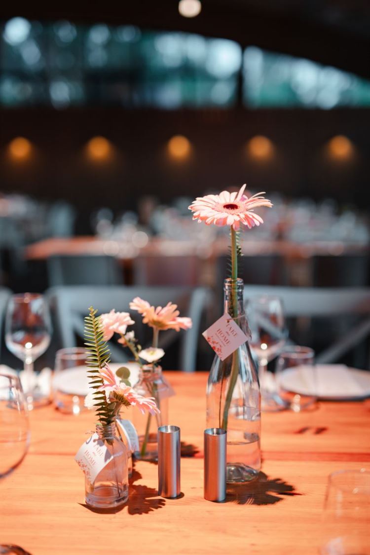 צילום: ניב בריג