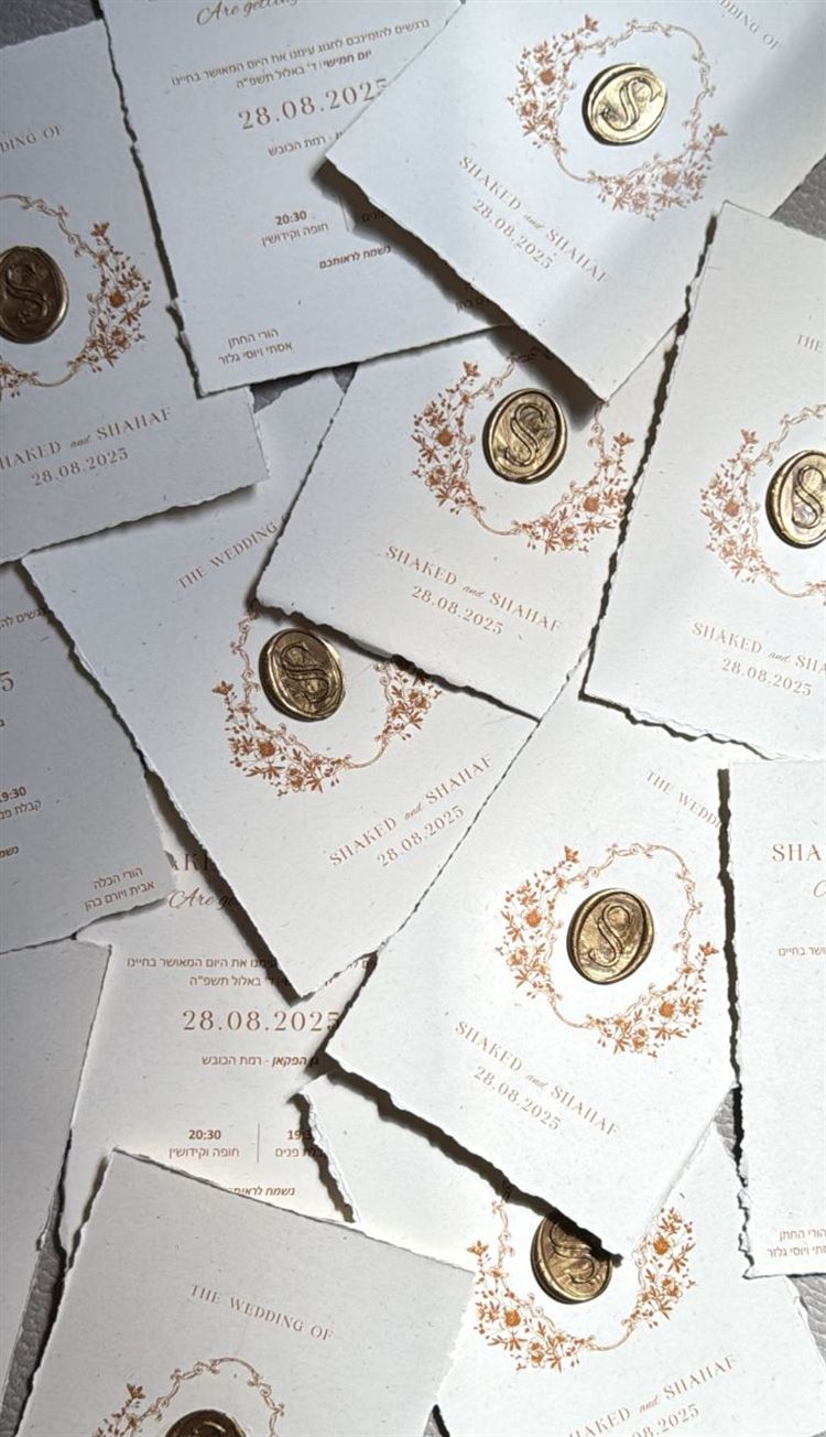 צילום: ניב בריג