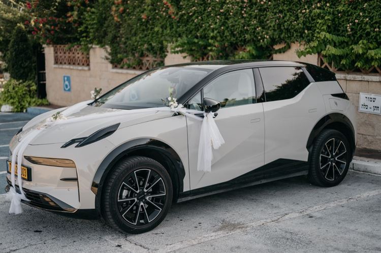 צילום: ניב בריג