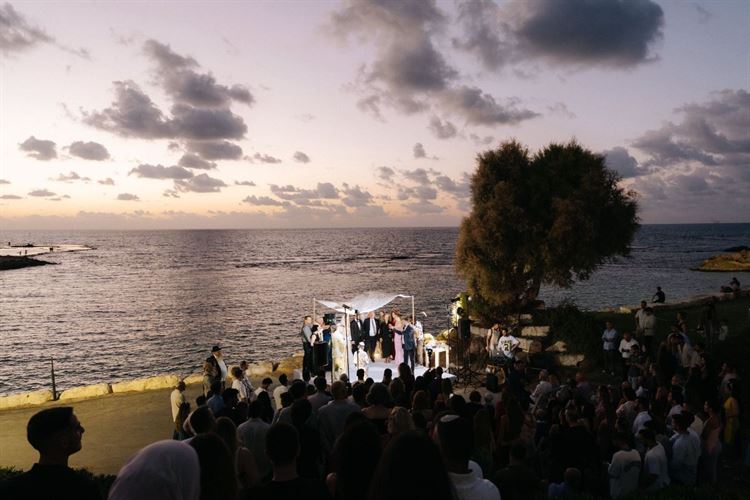 צילום: ווילו רוטר