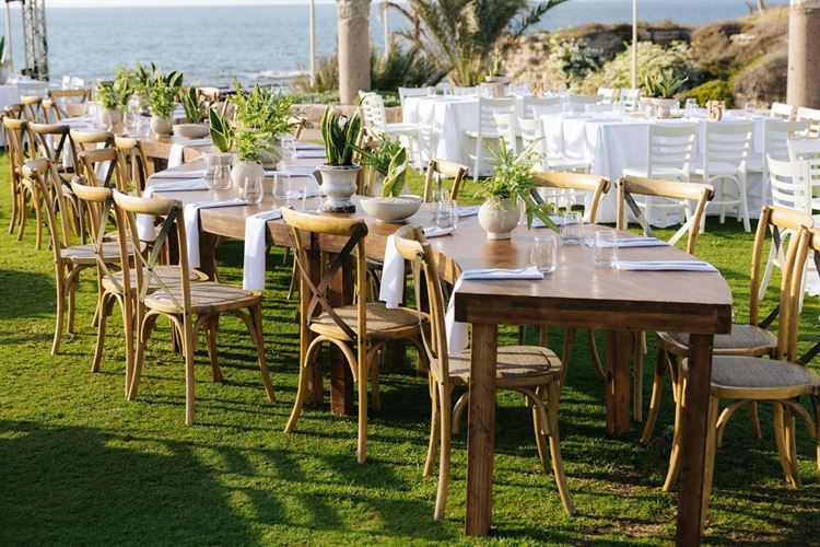 צילום: ווילו רוטר