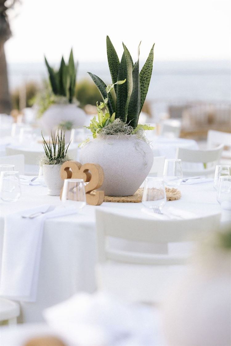 צילום: ווילו רוטר