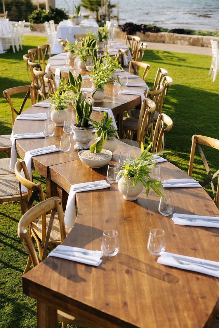 צילום: ווילו רוטר