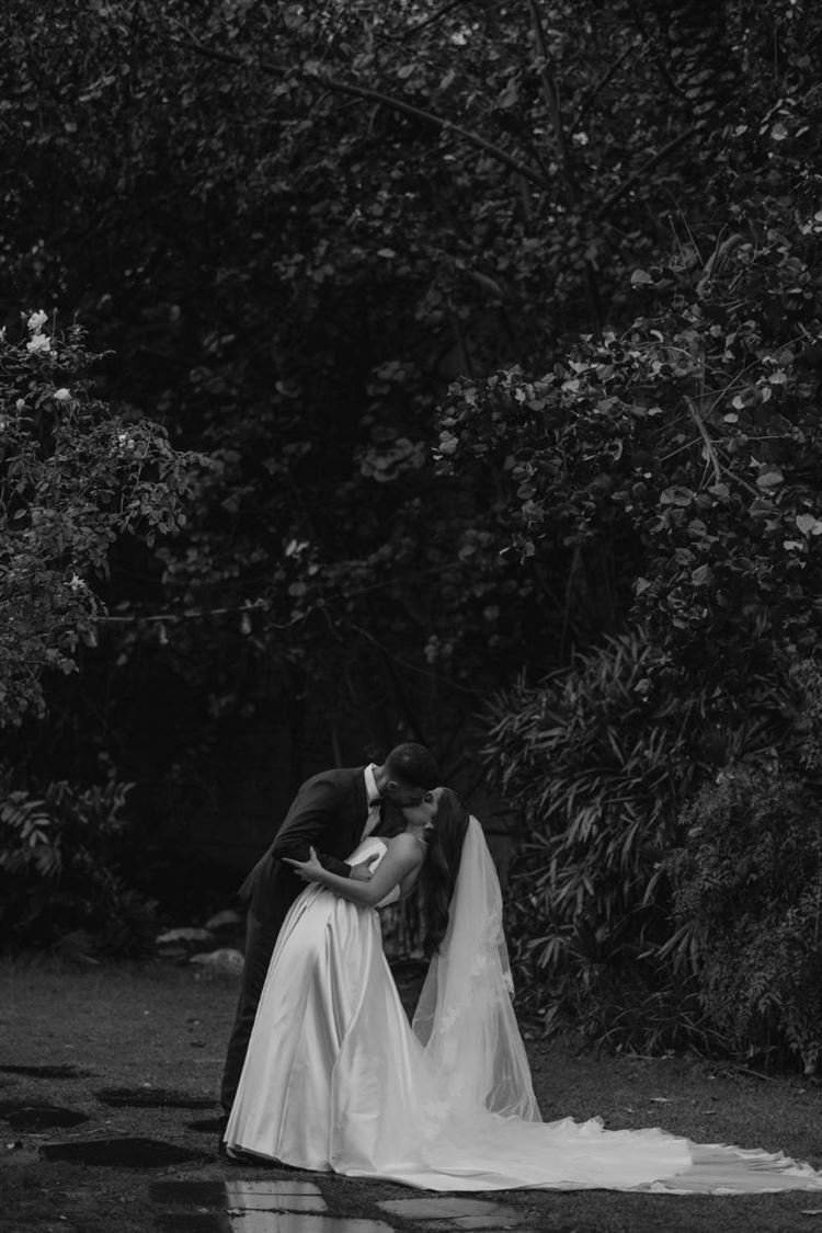 AVIRA (דניאל דיין)