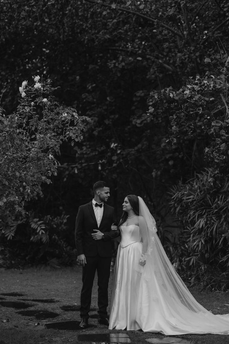 AVIRA (דניאל דיין)