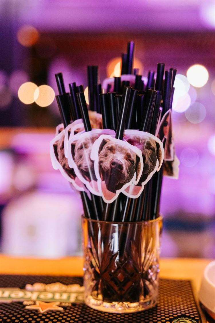 AVIRA (דניאל דיין)