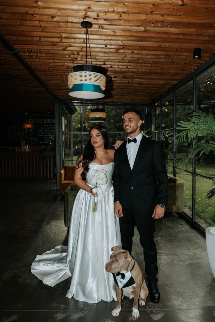 AVIRA (דניאל דיין)