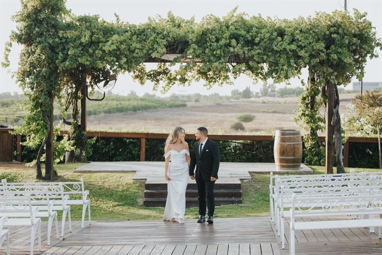 צילום: אור שדה