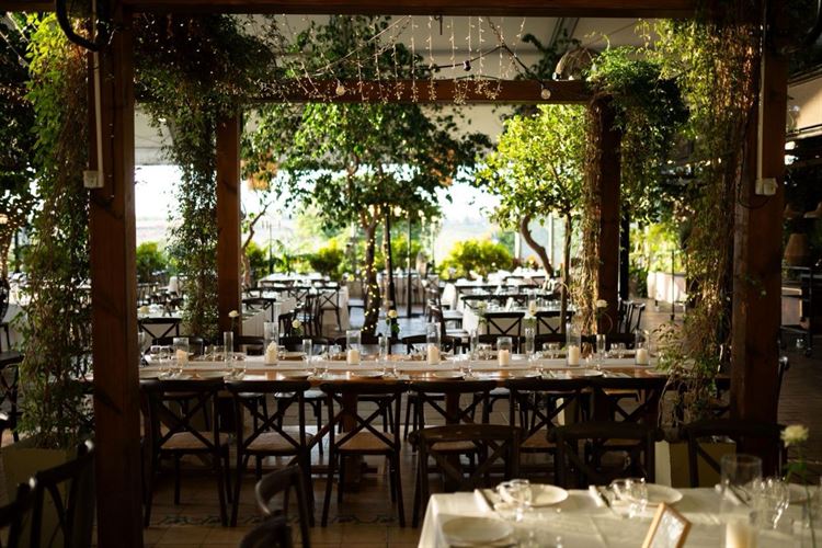 צילום: אור שדה