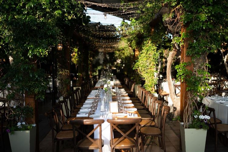 צילום: אור שדה