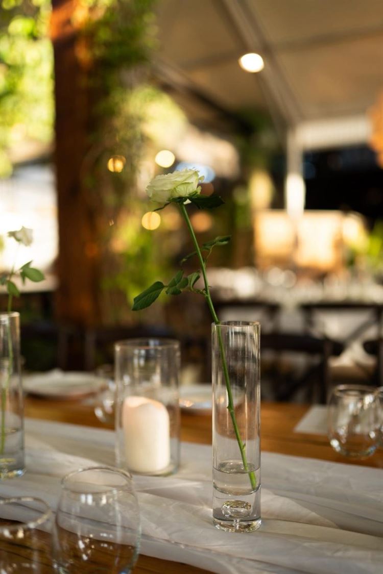 צילום: אור שדה