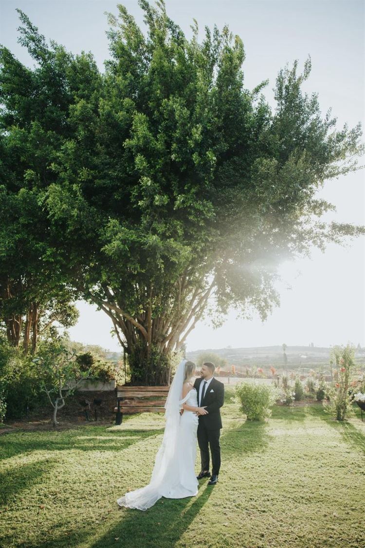 צילום: אור שדה