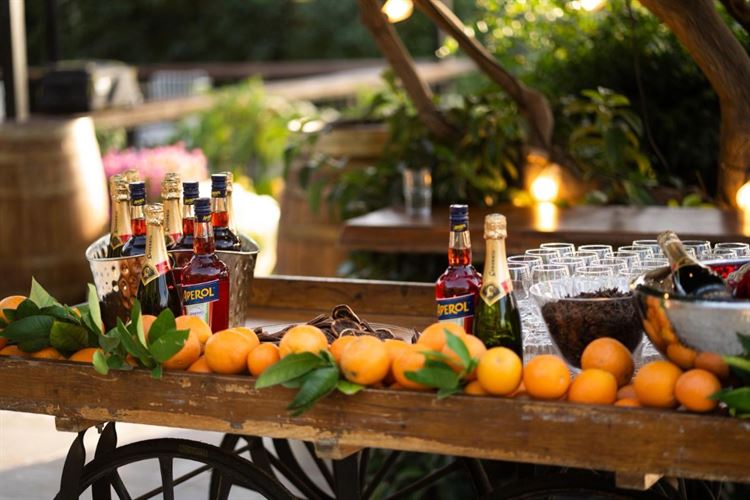 צילום: אור שדה