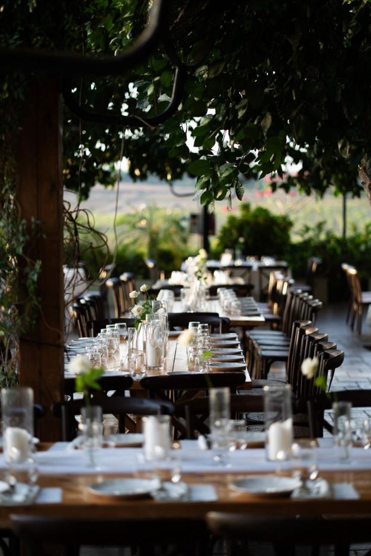 צילום: אור שדה