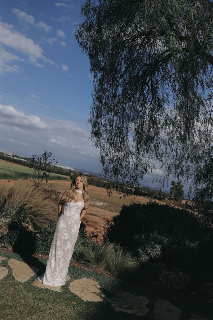 צילום: ישראל סיונוב