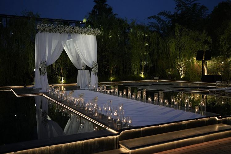 צילום: מיקי סוויסה