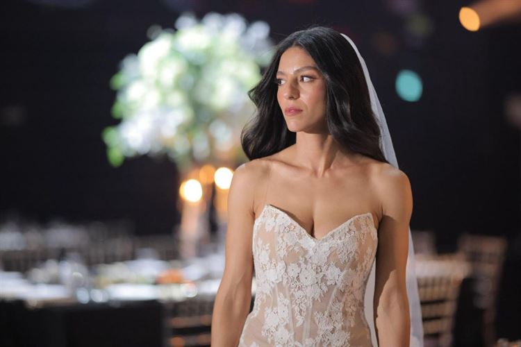 צילום: מיקי סוויסה