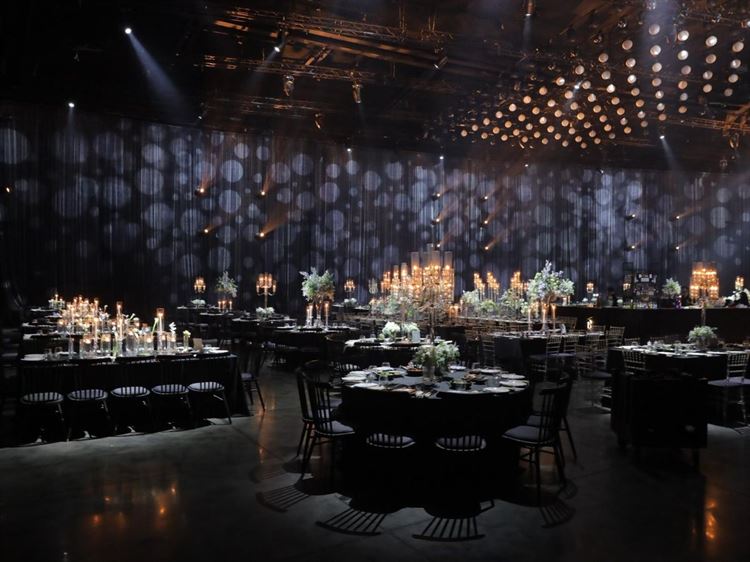 צילום: מיקי סוויסה