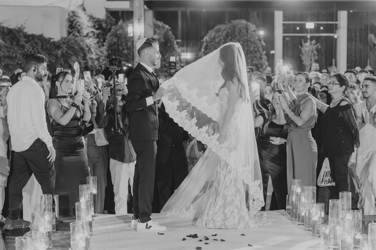 צילום: מיקי סוויסה