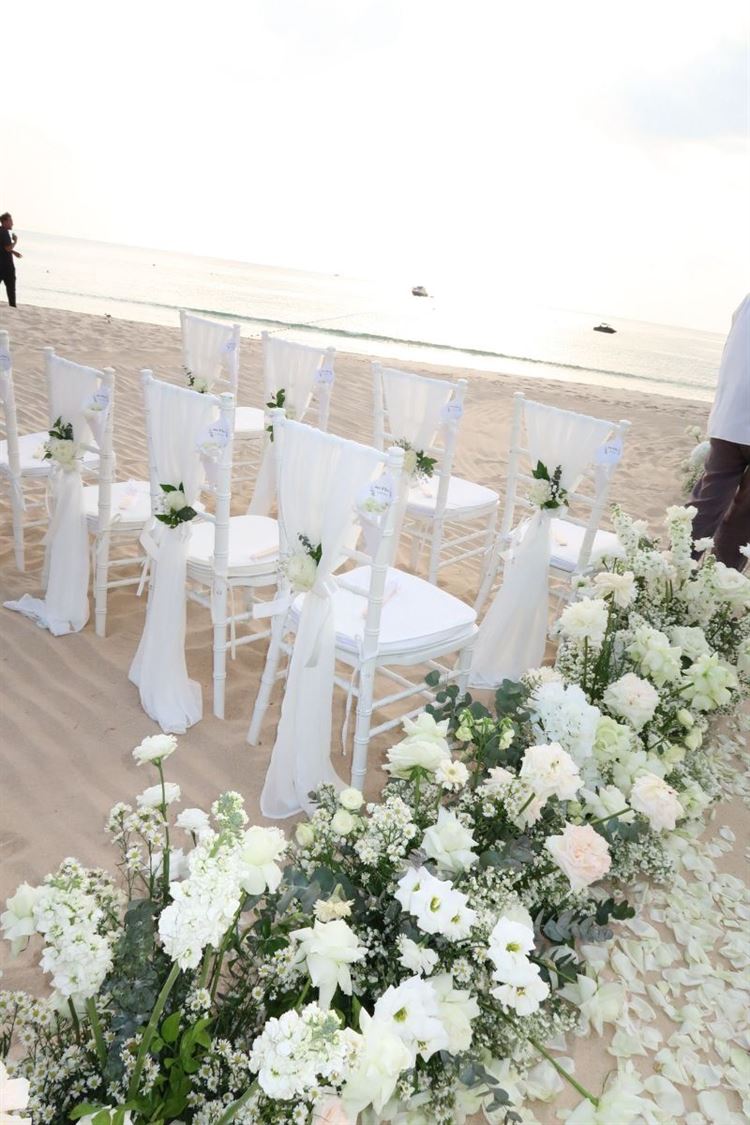 צילום: roonphotographer