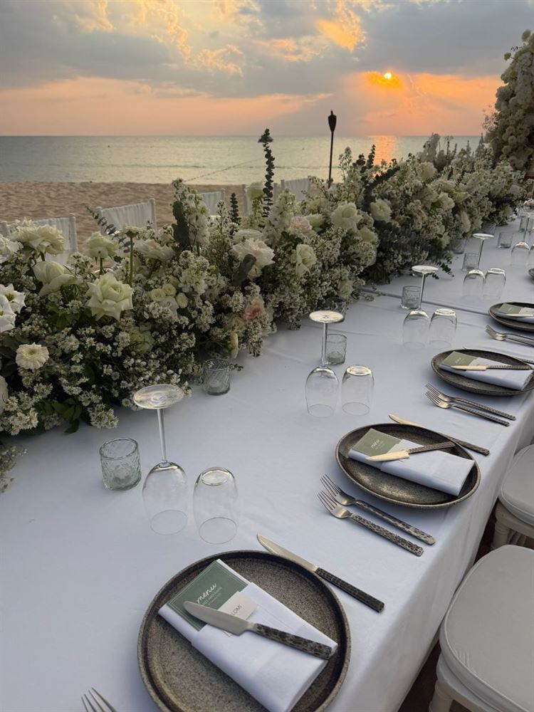 צילום: roonphotographer