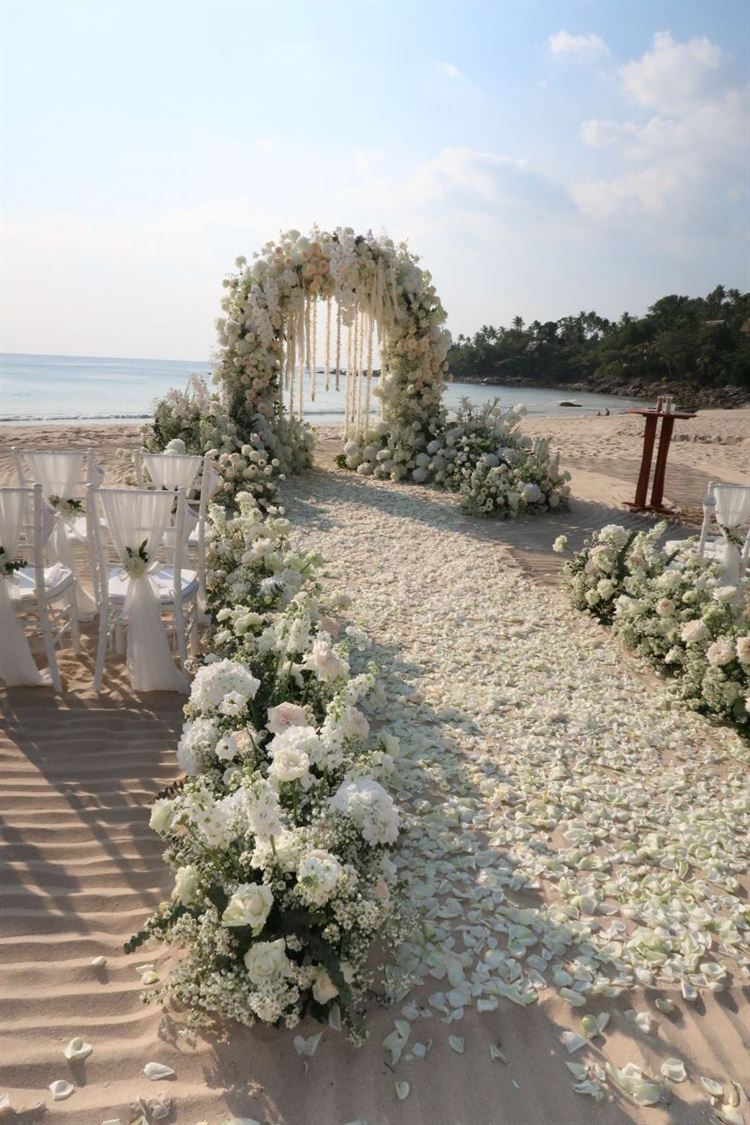 צילום: roonphotographer