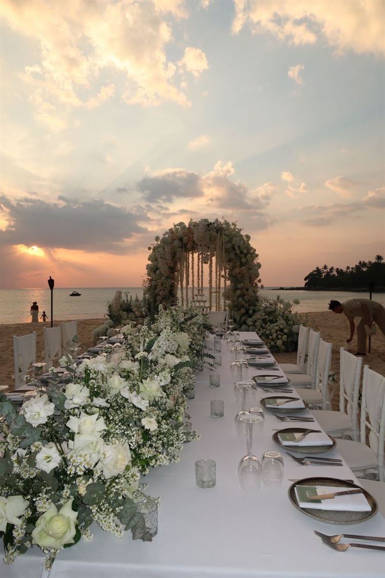 צילום: roonphotographer