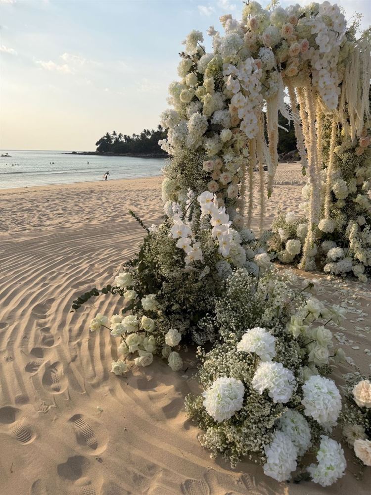 צילום: roonphotographer