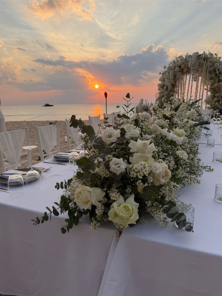 צילום: roonphotographer