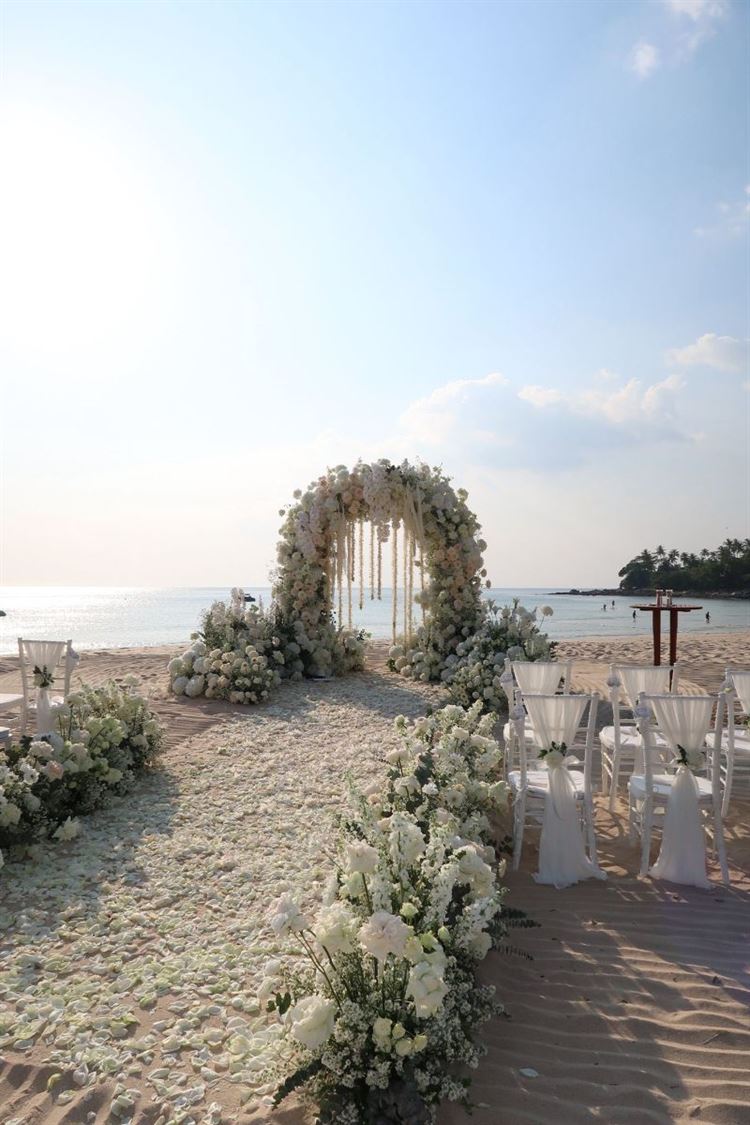 צילום: roonphotographer