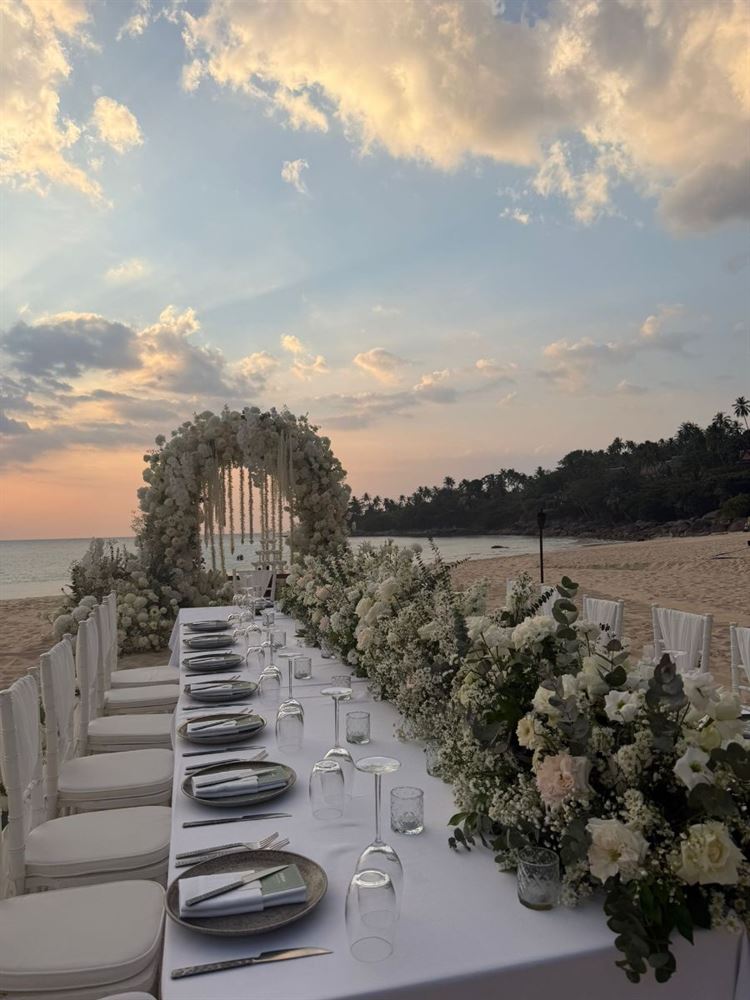 צילום: roonphotographer