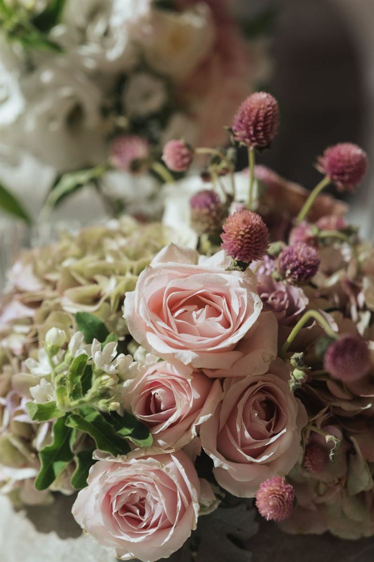 צילום: עדי אלבז