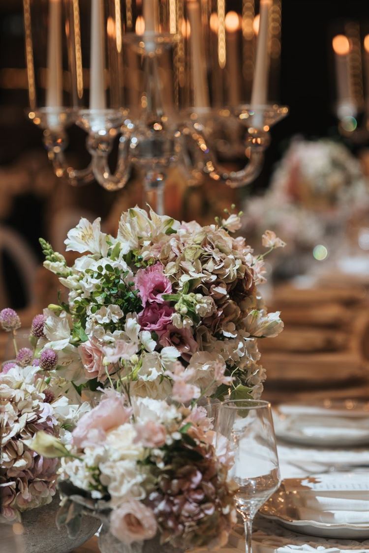 צילום: עדי אלבז