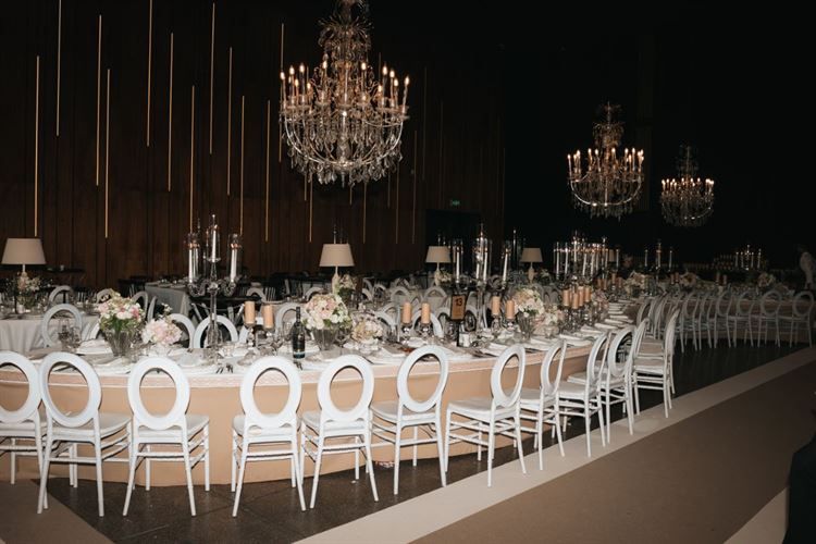 צילום: עדי אלבז